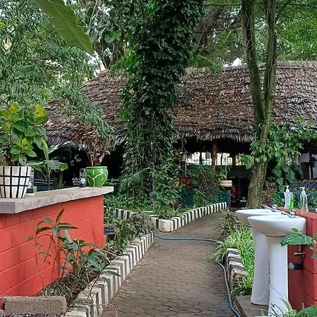 Ibrahim Garden Hostel أروشا المظهر الخارجي الصورة